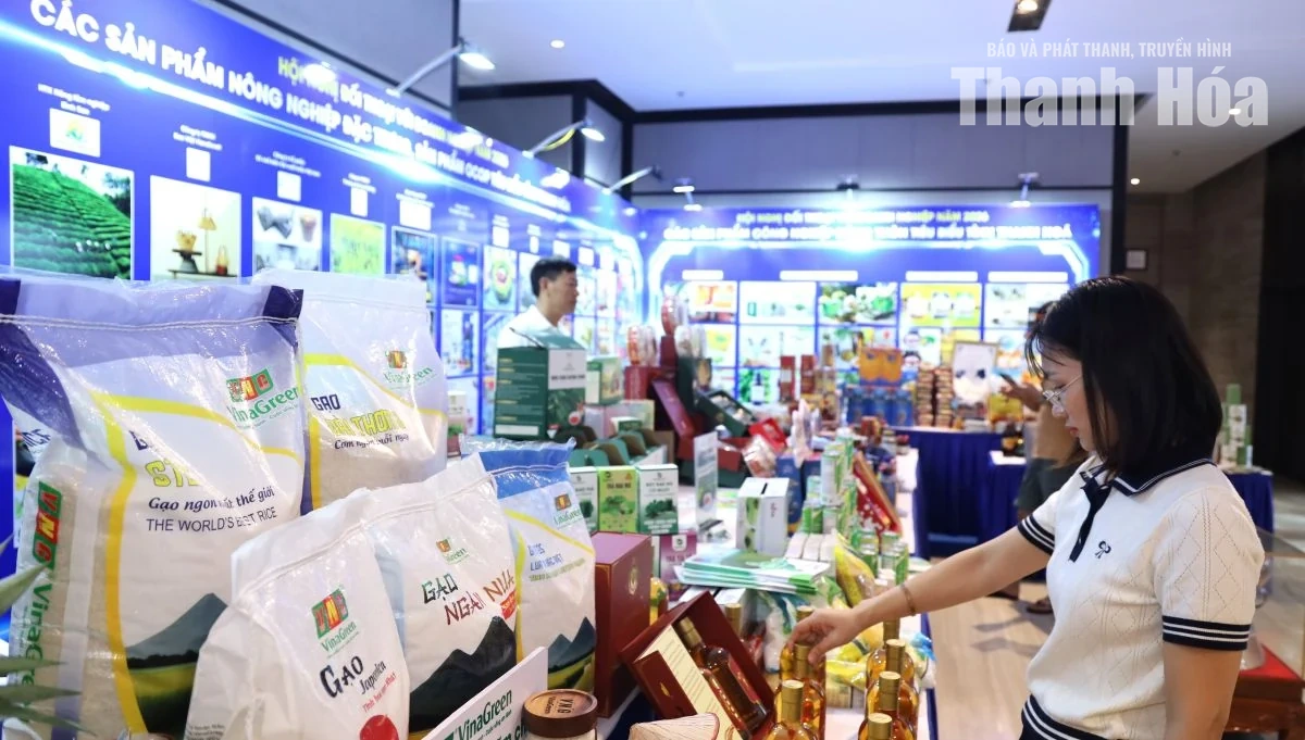 Sẵn sàng cho Hội nghị đối thoại với doanh nghiệp năm 2026