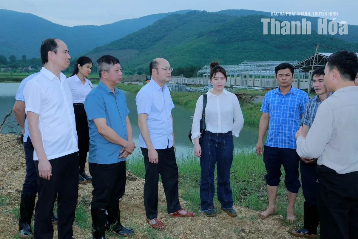 Tạo điều kiện thuận lợi để các dự án chăn nuôi quy mô lớn đi vào hoạt động đúng kế hoạch