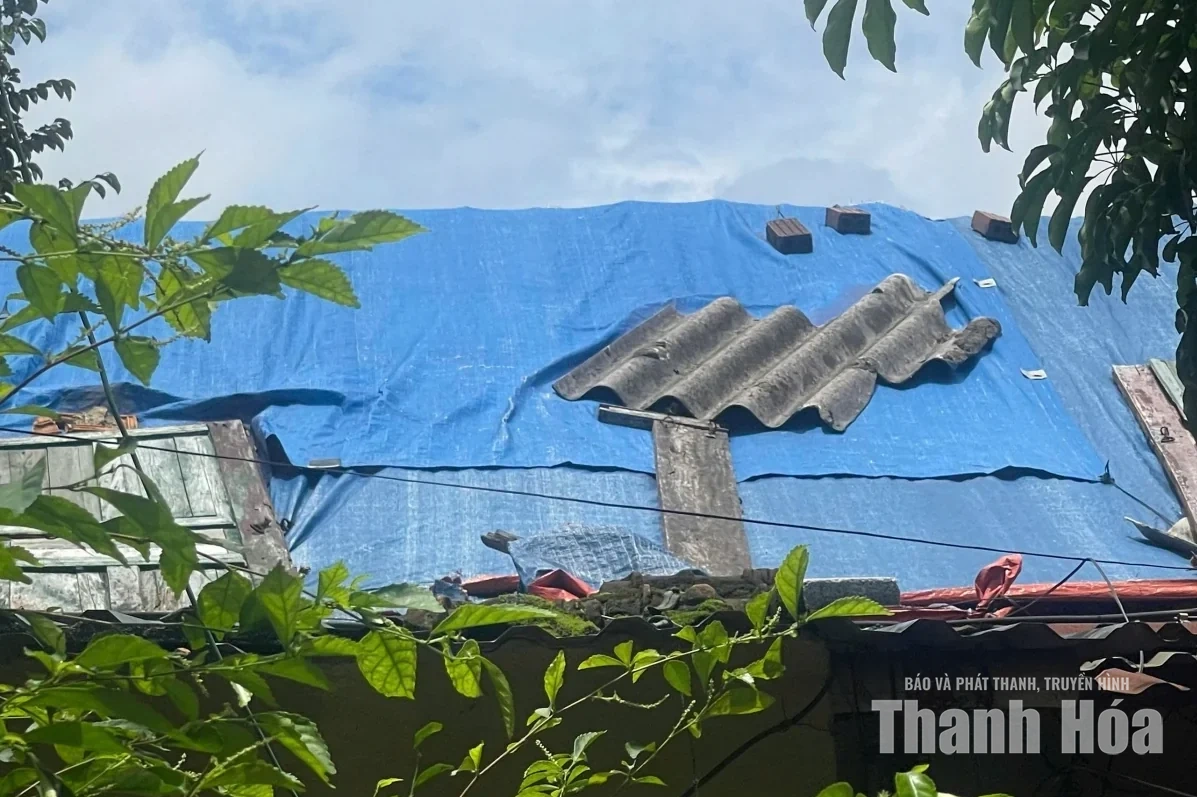 Trật tự, mỹ quan đô thị - Những “cái gai trong mắt”: Sống “tạm”