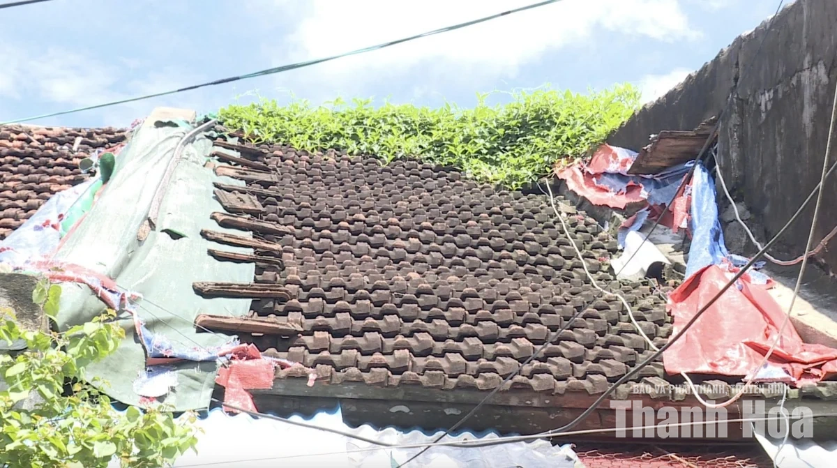 Trật tự, mỹ quan đô thị - Những “cái gai trong mắt”: Sống “tạm”