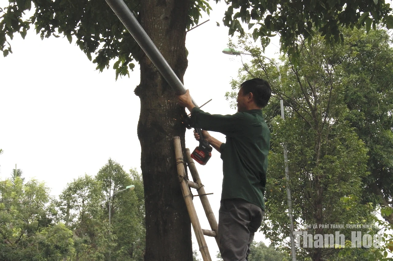 Phường Hàm Rồng ra quân lập lại trật tự, mỹ quan tại KCN Đình Hương - Tây Bắc Ga sau phản ánh của Báo điện tử Thanh Hóa