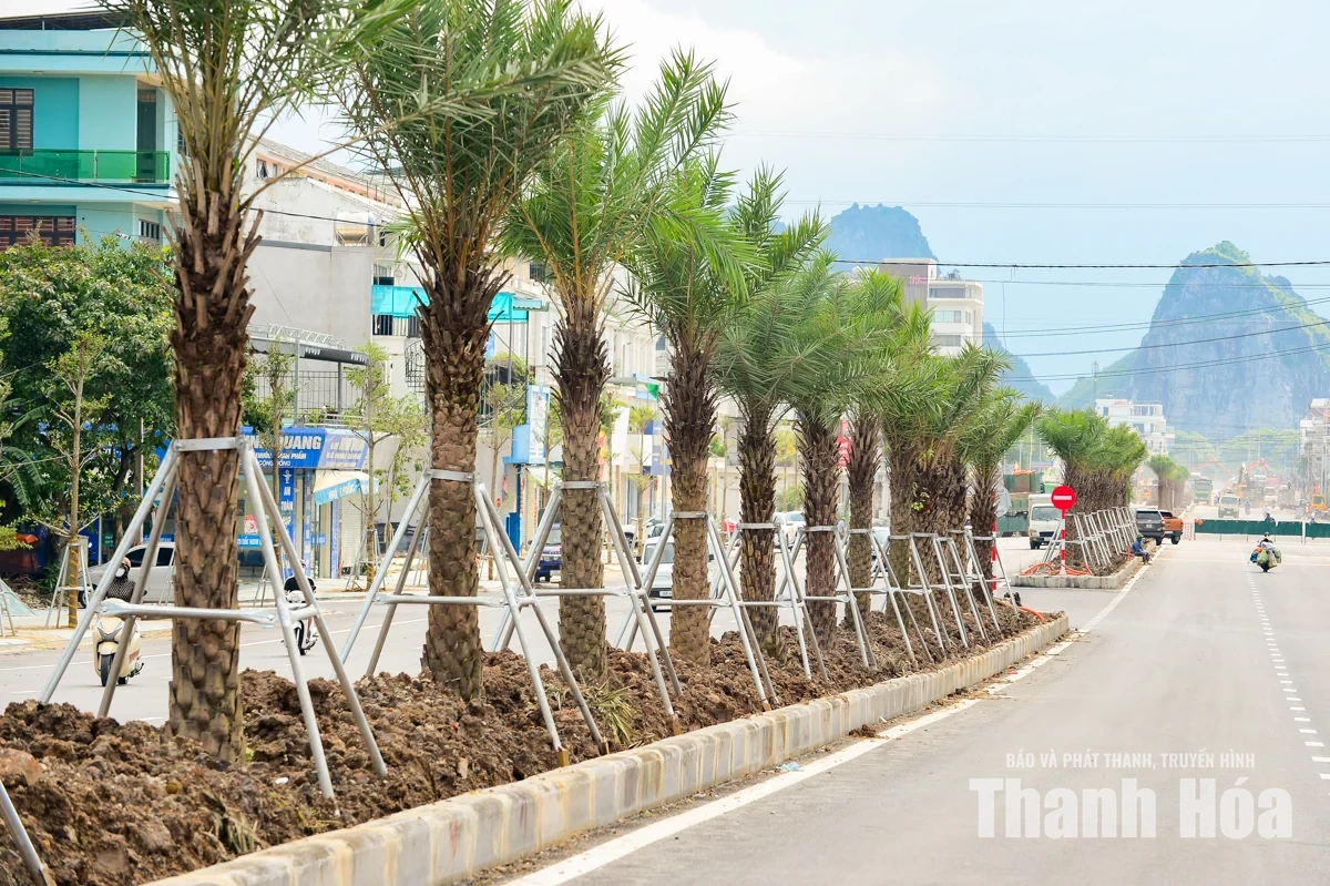 Diện mạo Đại lộ Lê Lợi mở rộng trước ngày thông xe kỹ thuật