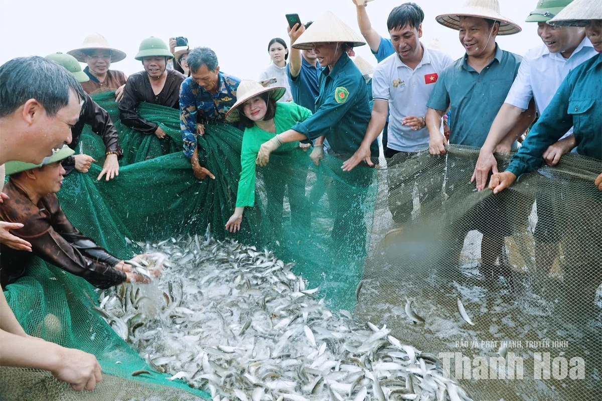 Chạm nhịp sống làng chài&nbsp;ven biển Hải Tiến&nbsp;