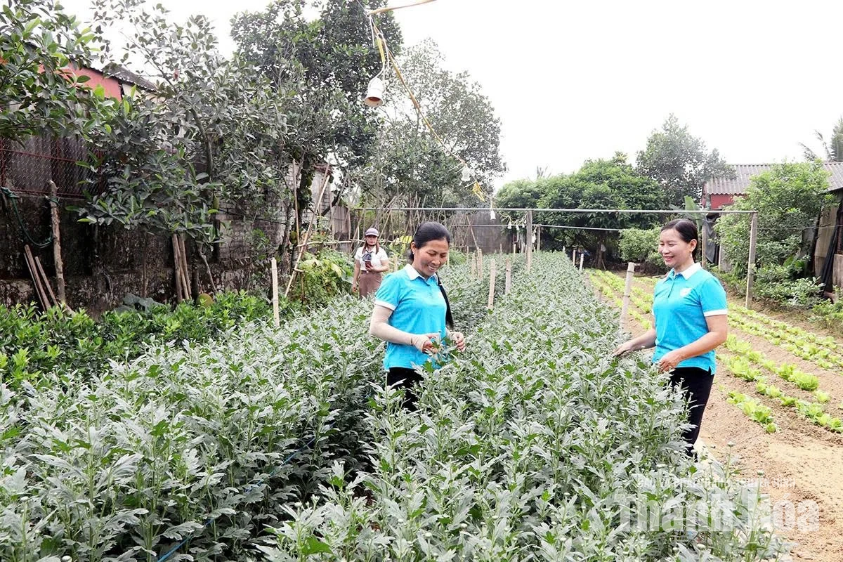 Thêm những ngôi nhà đẹp, khu vườn xanh