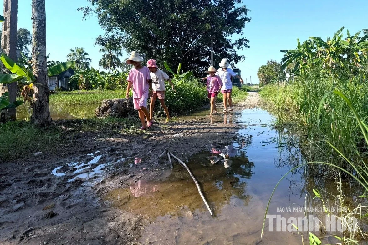 Trật tự, mỹ quan đô thị - Những “cái gai trong mắt”: Khu dân cư Minh Sơn khổ vì đường lầy lội