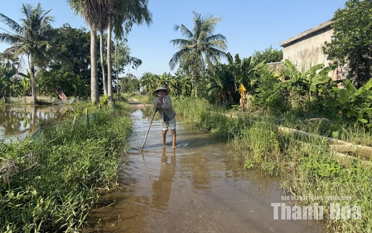 Trật tự, mỹ quan đô thị - Những “cái gai trong mắt”: Khu dân cư Minh Sơn khổ vì đường lầy lội