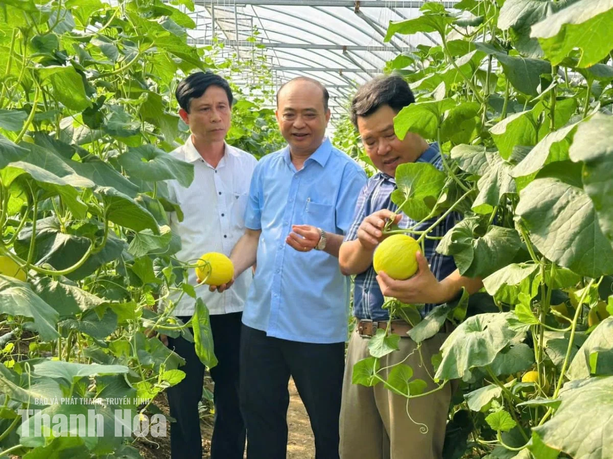 Thanh Hóa có 2 cá nhân được vinh danh “Nông dân Việt Nam xuất sắc 40 năm đổi mới”