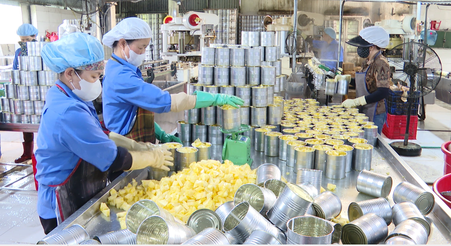 Thanh Hóa trong nhóm dẫn đầu thực thi hiệu quả các FTA để mở rộng xuất khẩu