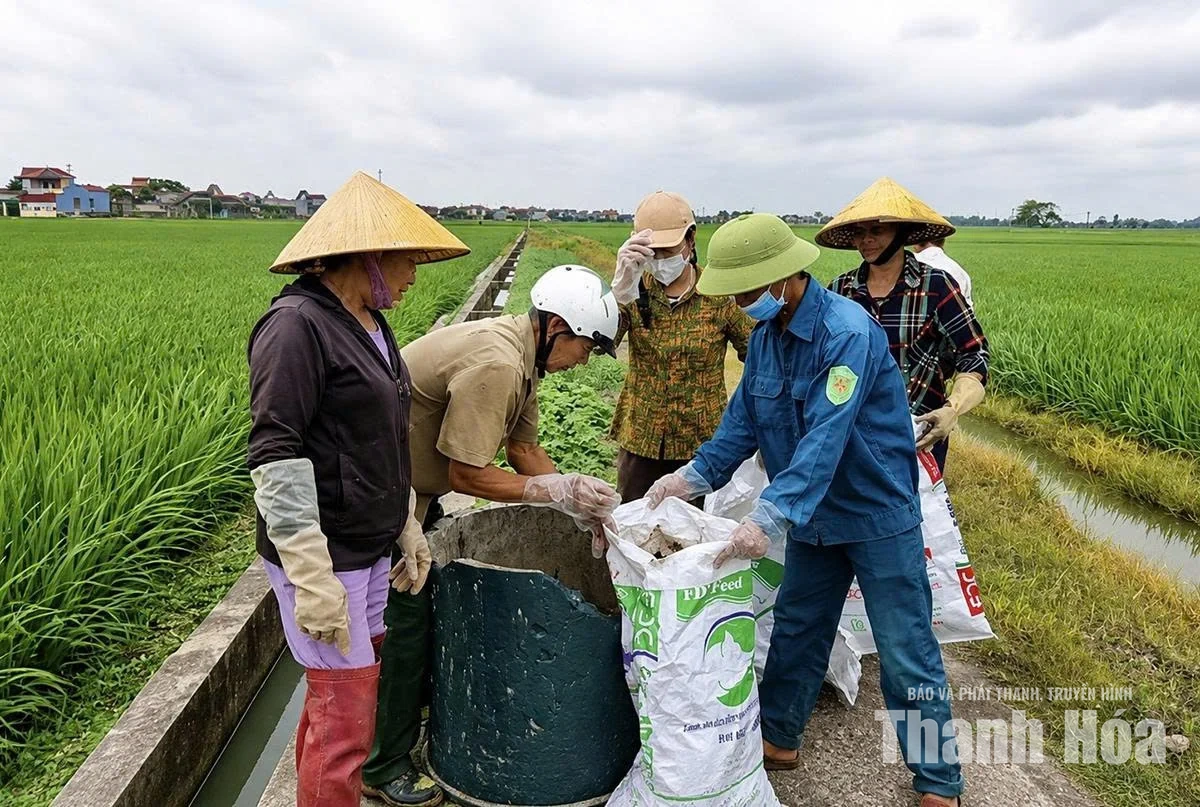 Hội Nông dân Thiệu Tiến&nbsp;chung sức vì môi trường xanh