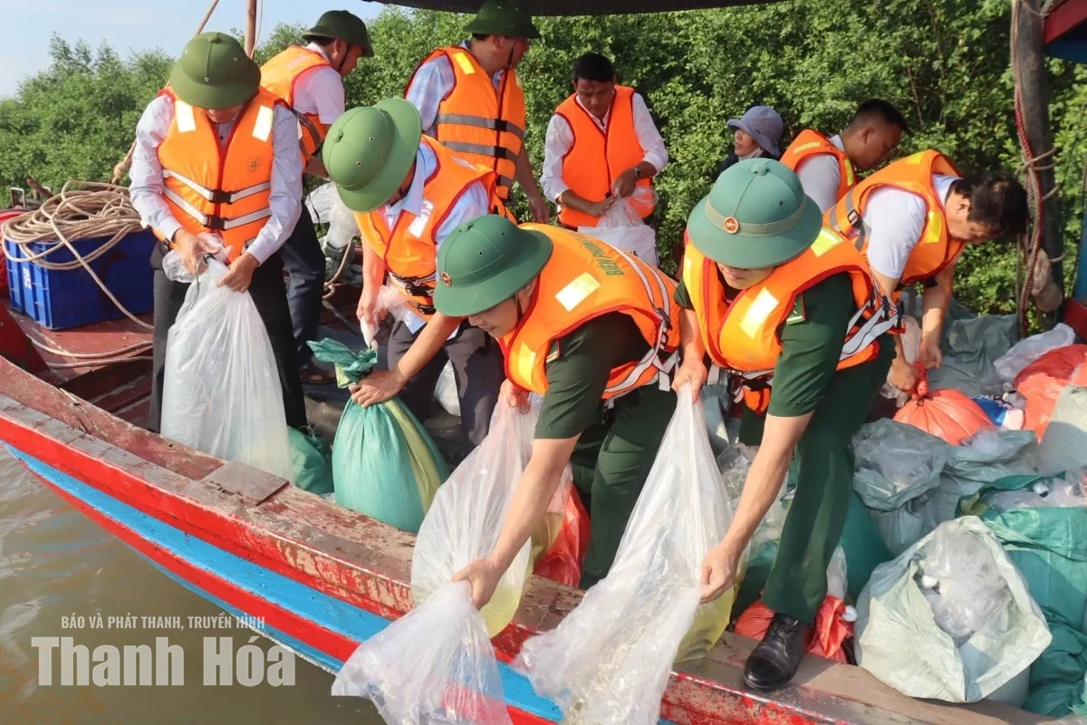 Thả cá giống tái tạo nguồn lợi thủy sản trên vùng cửa sông Lạch Sung
