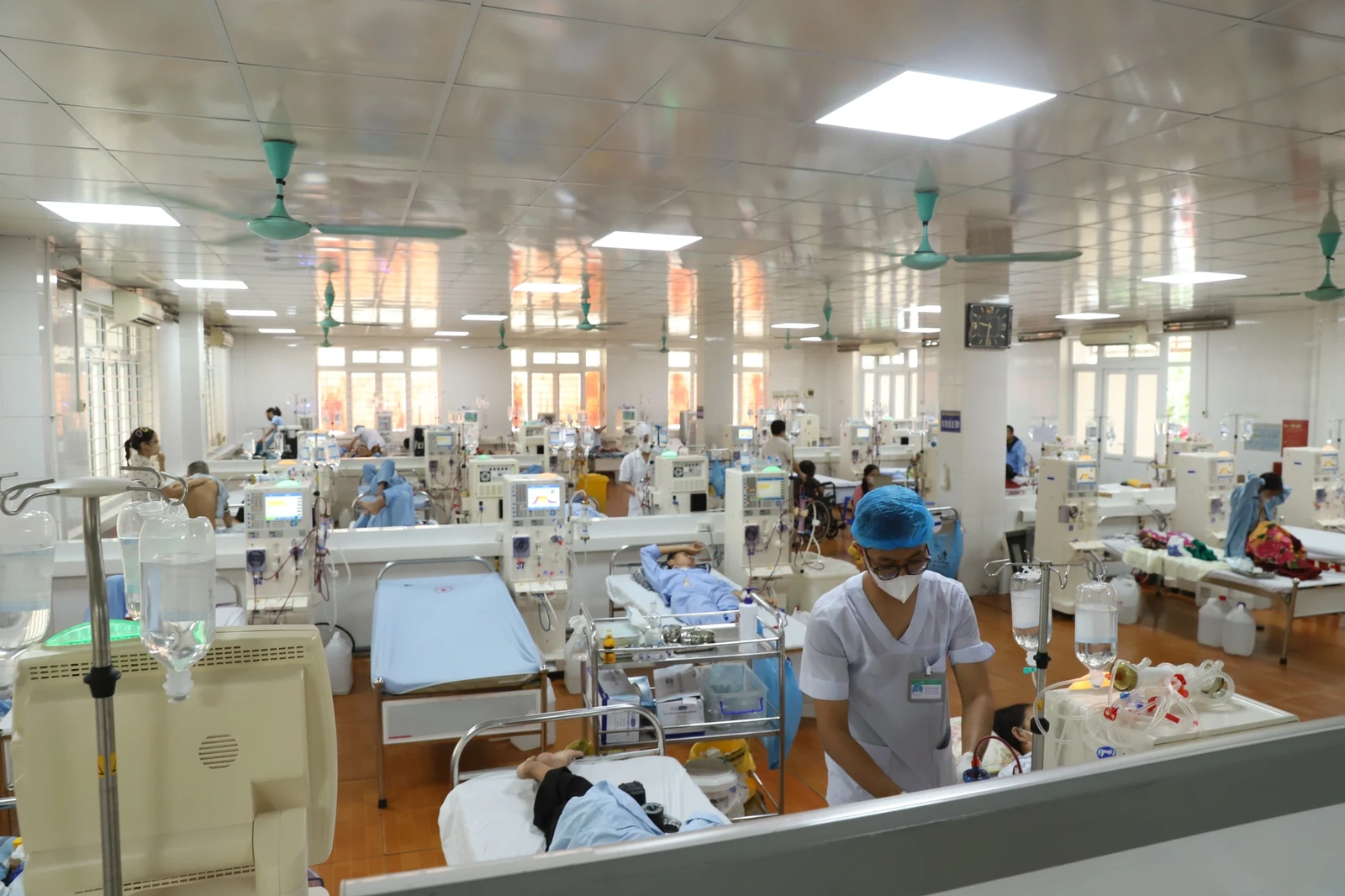 [E-Magazine] Sự sống hồi sinh từ tận cùng mất mát
