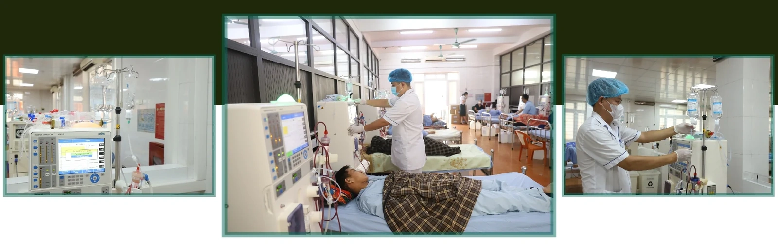 [E-Magazine] Sự sống hồi sinh từ tận cùng mất mát