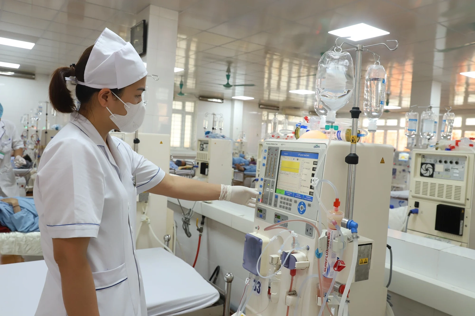 [E-Magazine] Sự sống hồi sinh từ tận cùng mất mát