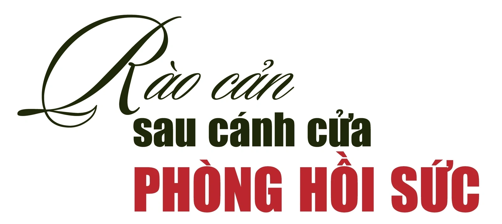 [E-Magazine] Sự sống hồi sinh từ tận cùng mất mát