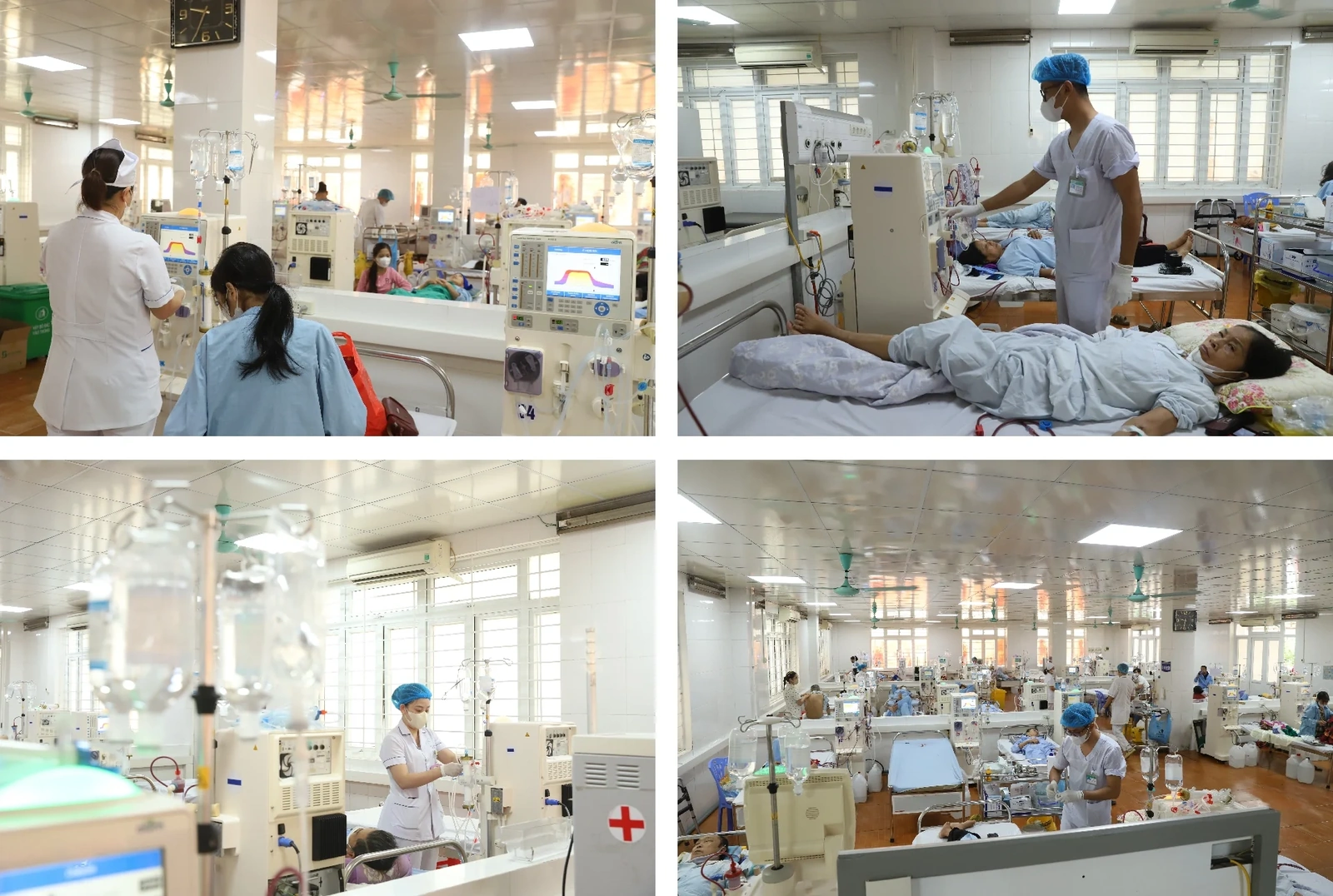 [E-Magazine] Sự sống hồi sinh từ tận cùng mất mát