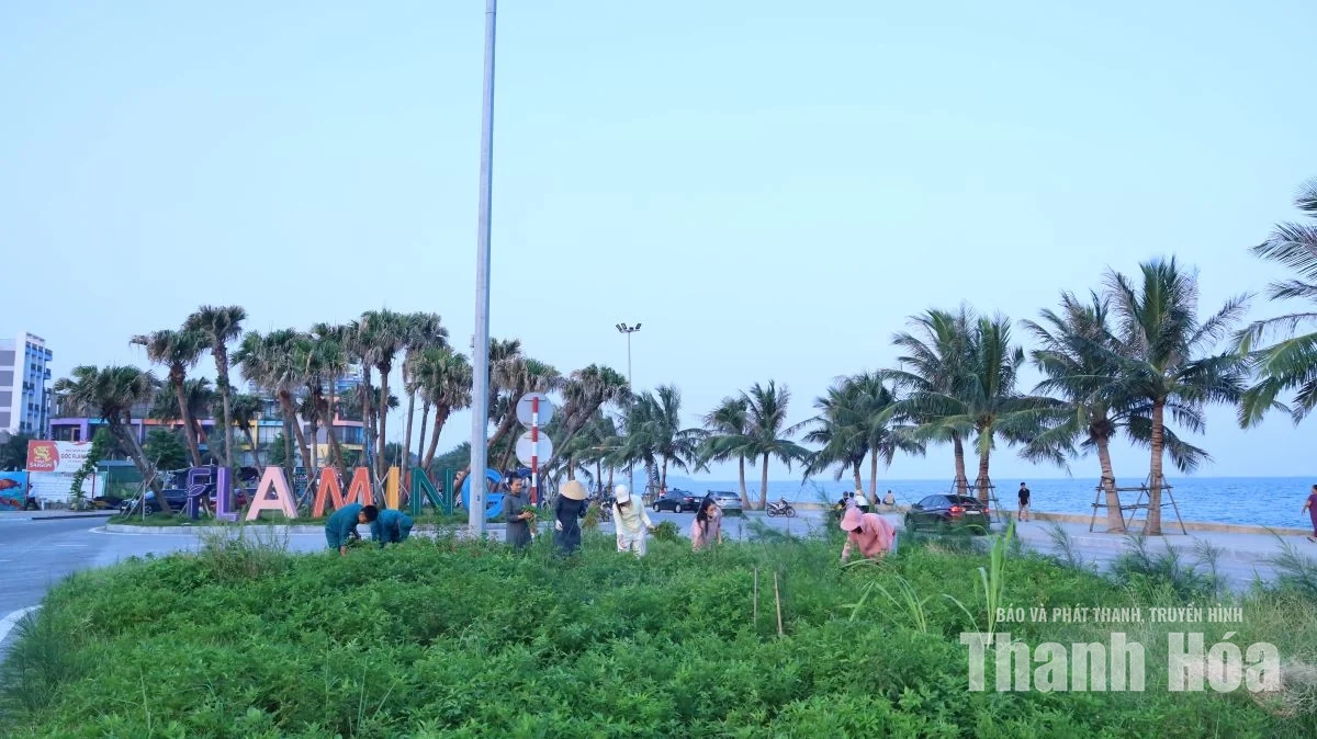 Gần 1.000 người ra quân vệ sinh môi trường ven biển Hoằng Tiến