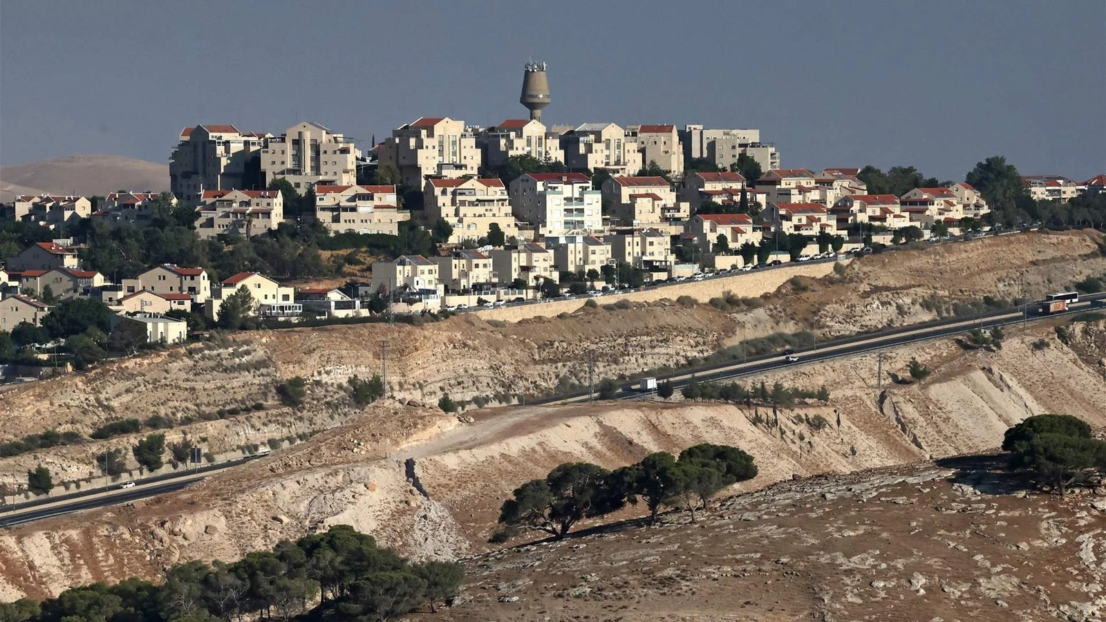 Các nước Arab, Hồi giáo hoan nghênh Anh hạn chế thương mại với các khu định cư Israel