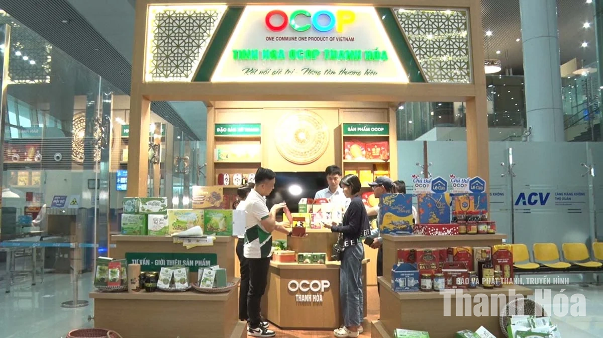 Đưa sản phẩm OCOP Thanh Hóa&nbsp;theo những chuyến bay
