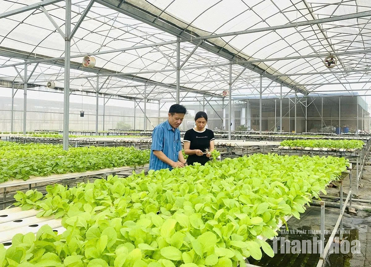 Nghị quyết 20 tạo “luồng sinh khí mới cho kinh tế tập thể