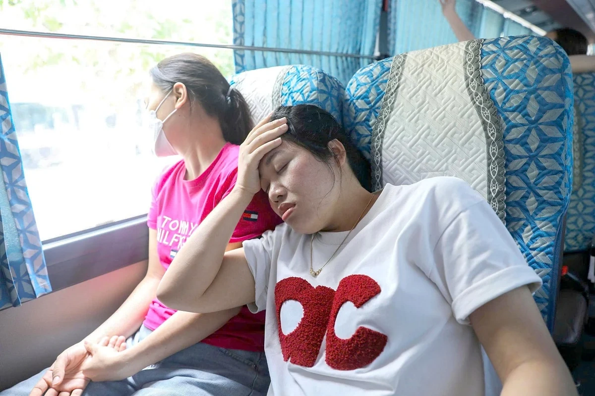 Có Sâm nhung đại bổ Tâm Bình: Tự tin đi xa, không lo say xe, mệt mỏi