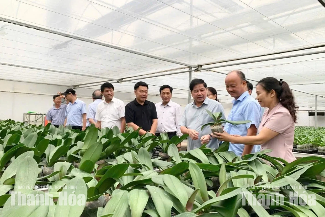 Đoàn công tác Hội Làm vườn Việt Nam làm việc tại Thanh Hóa