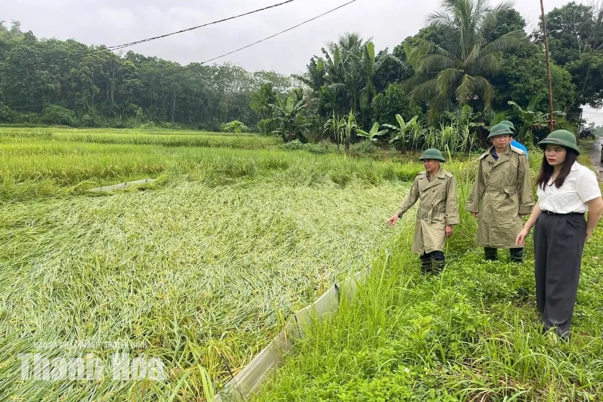 Triển khai các biện pháp ứng phó mưa lớn, ngập lụt và sạt lở