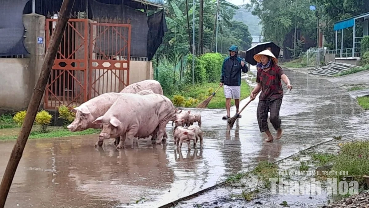 Nhiều địa phương khẩn trương di dời người dân
