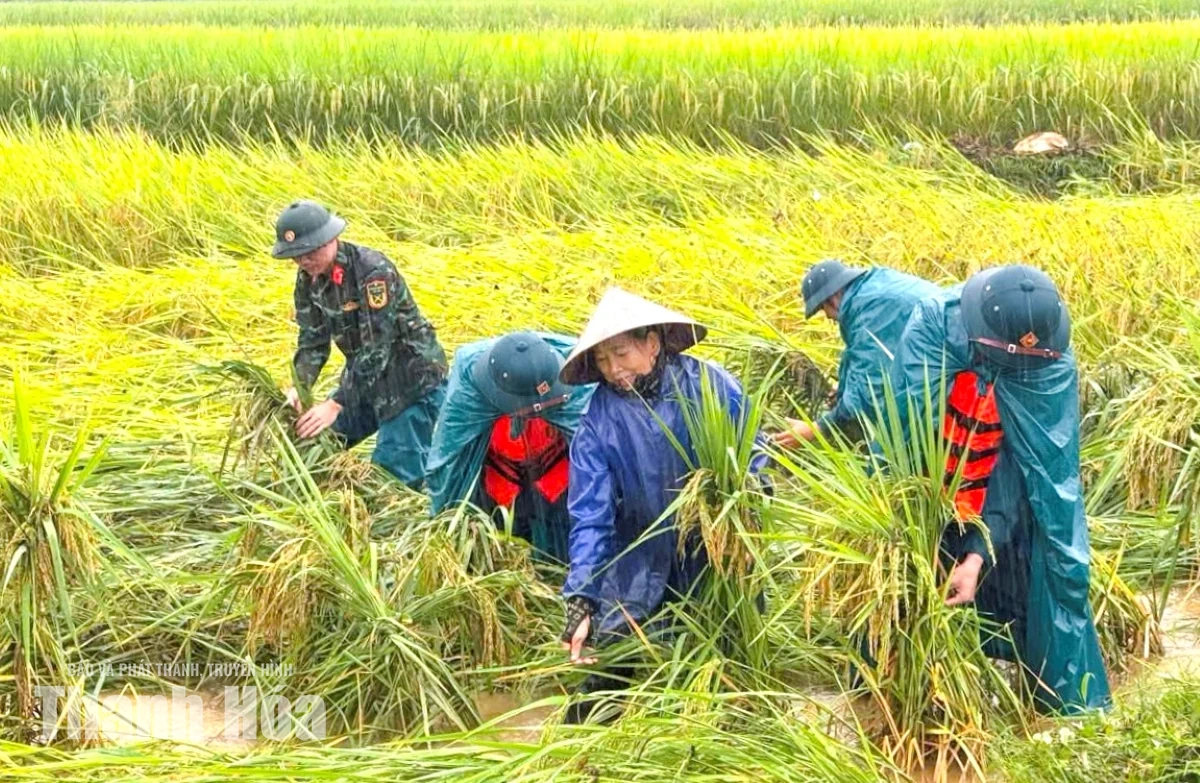 Khẩn trương sơ tán người dân, chủ động ứng phó lũ lớn trên các tuyến sông