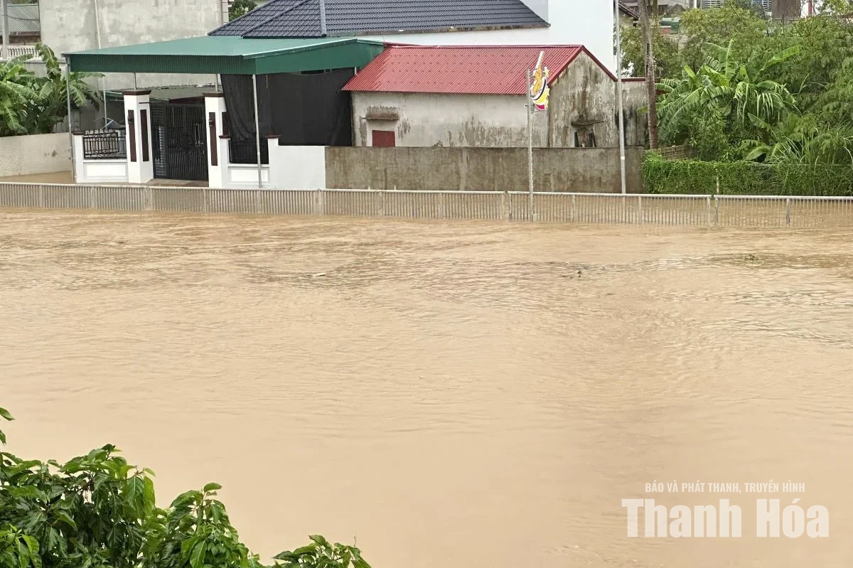 Hơn 1.500 hộ dân ở Nông Cống ngập trong nước, xã đang triển khai ứng phó