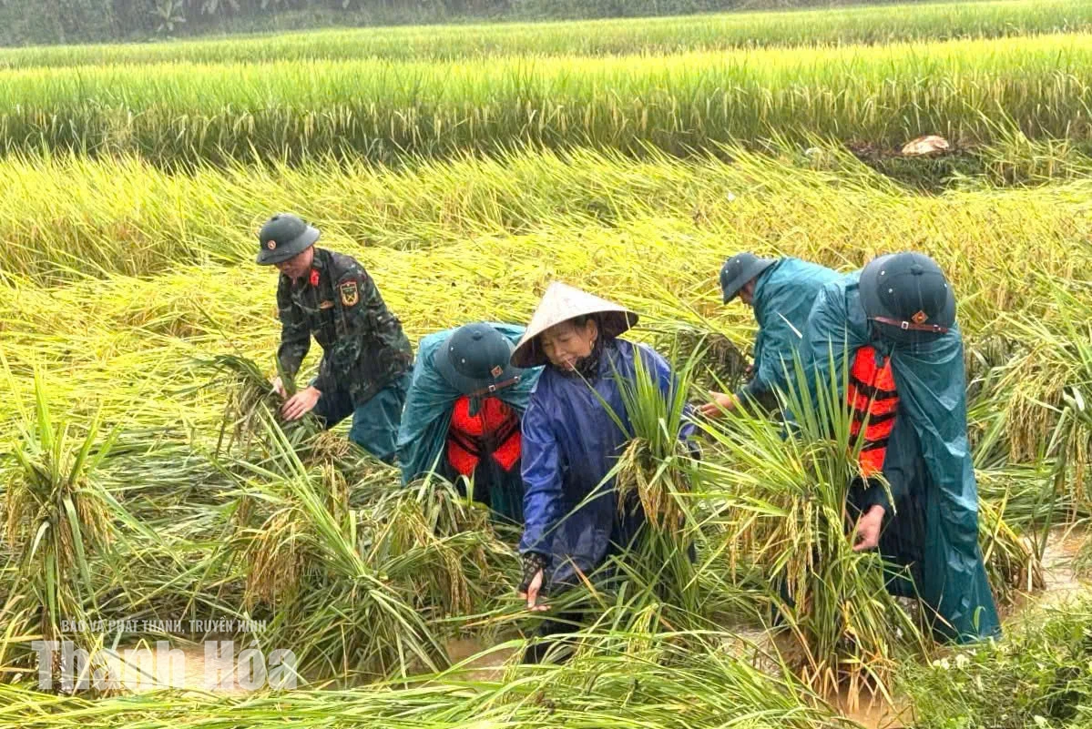 Lực lượng vũ trang huy động 15.206 cán bộ, chiến sĩ và dân quân tự vệ tập trung ứng phó mưa lũ