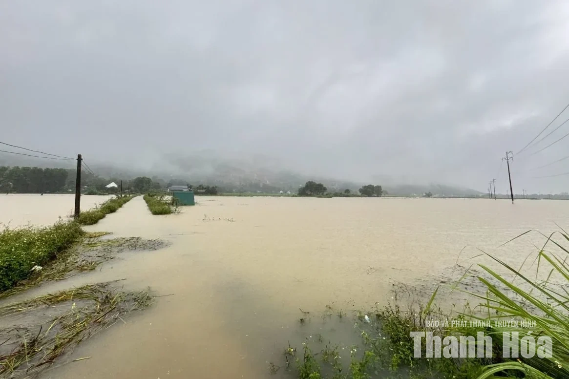 Xã Tống Sơn khẩn trương ứng phó mưa lũ, bảo đảm an toàn cho người dân
