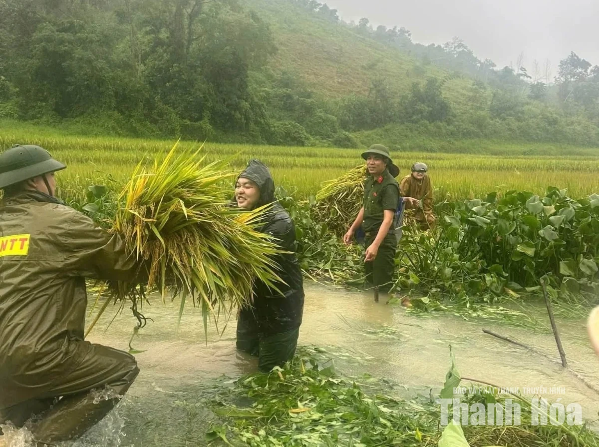 Căng mình ứng phó mưa lũ