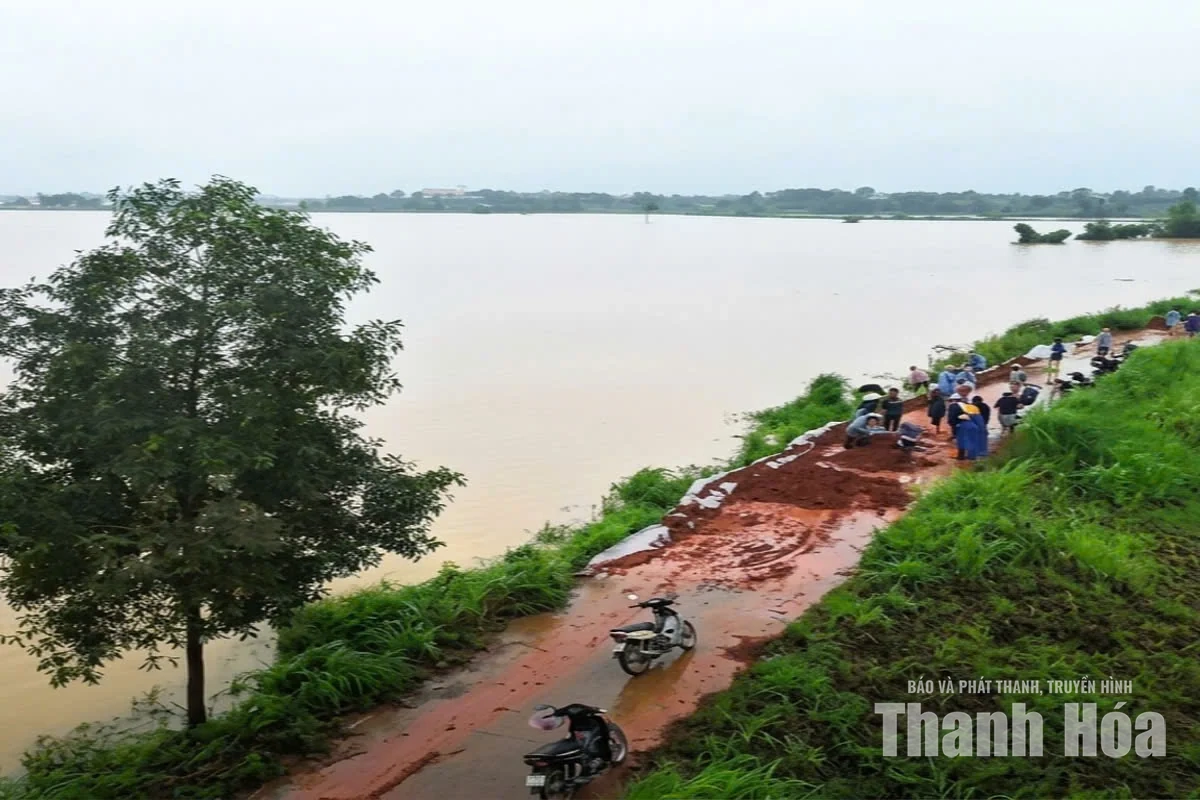 Xã Xuân Tín tập trung khắc phục tình trạng sạt lở mái đê khi nước sông Cầu Chày bắt đầu rút