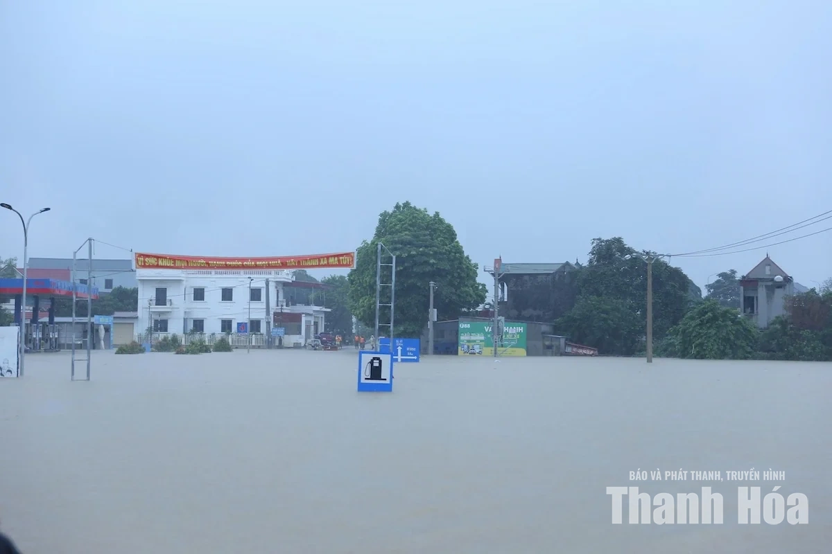 Chủ tịch UBND tỉnh Tô Anh Dũng kiểm tra, chỉ đạo, động viên người dân vùng lũ Kim Tân