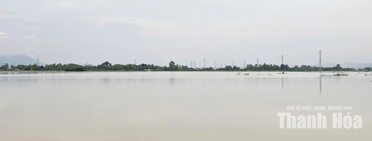 Chủ động ứng phó với mưa lũ tại các địa phương khu vực Nông Cống cũ