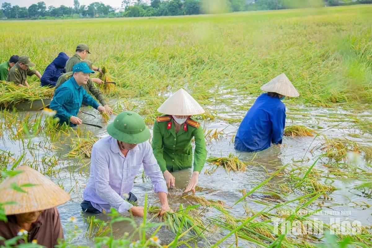 Bám trụ vùng lũ, chung tay đưa cuộc sống trở lại bình thường