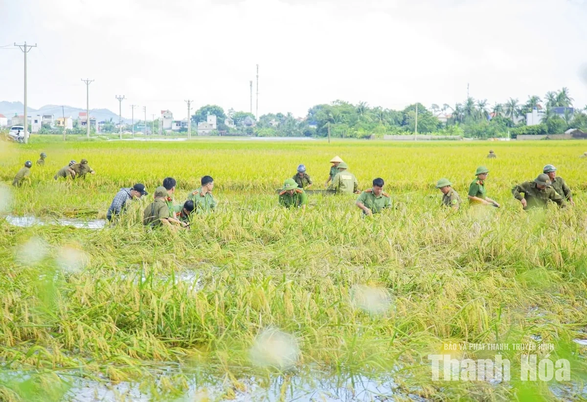 Bám trụ vùng lũ, chung tay đưa cuộc sống trở lại bình thường