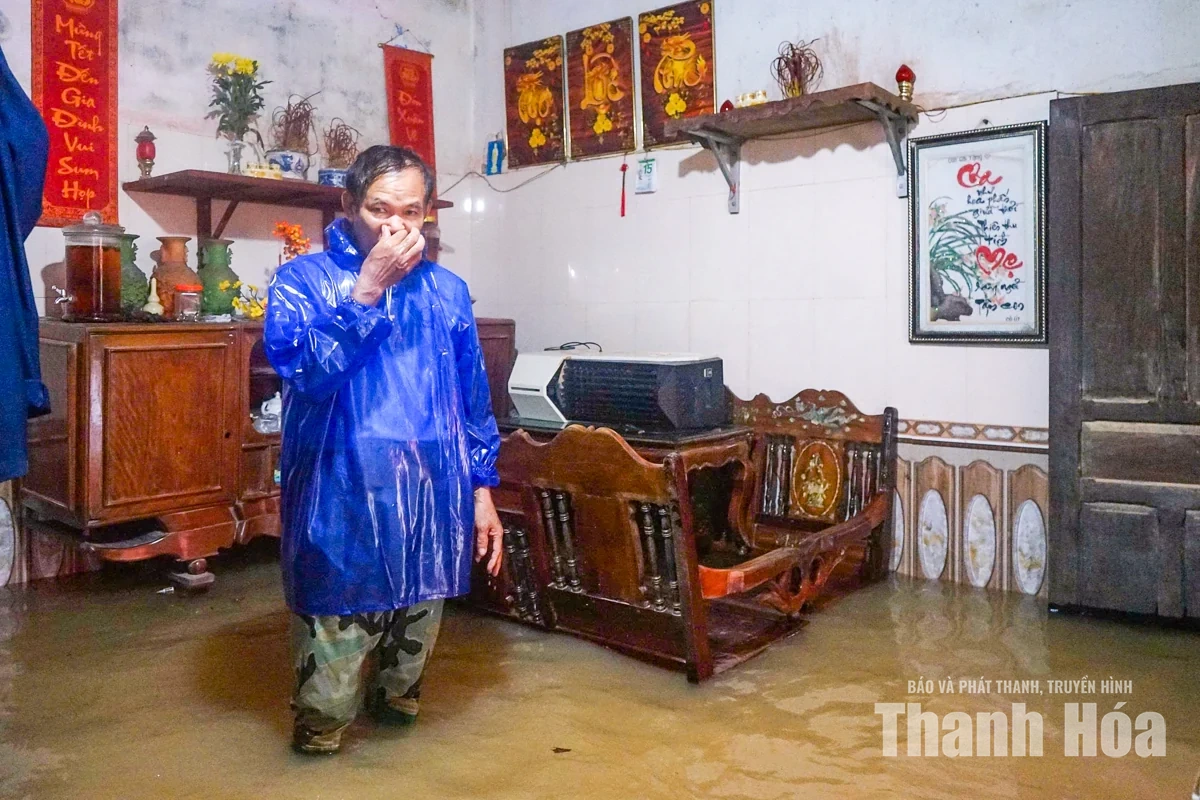 Người dân Nông Cống đưa vật nuôi lên thuyền tránh lũ