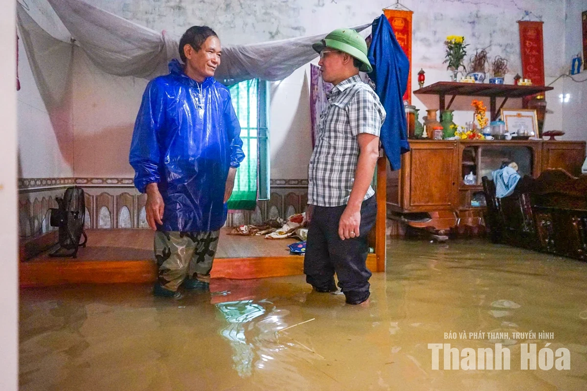 Người dân Nông Cống đưa vật nuôi lên thuyền tránh lũ