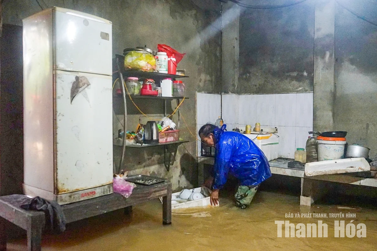 Người dân Nông Cống đưa vật nuôi lên thuyền tránh lũ