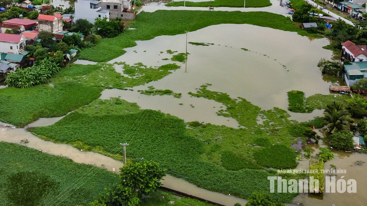 Gần 2.000 nhà dân phường Hàm Rồng ngập do mưa lũ