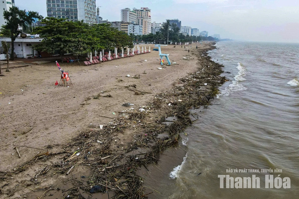 Khẩn trương dọn dẹp củi, rác sau mưa lũ ở Sầm Sơn