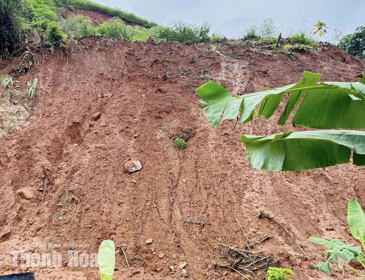 Khẩn trương xây dựng phương án thông xe trên tuyến đường từ xã Mường Lát đi bản Chim, xã Nhi Sơn