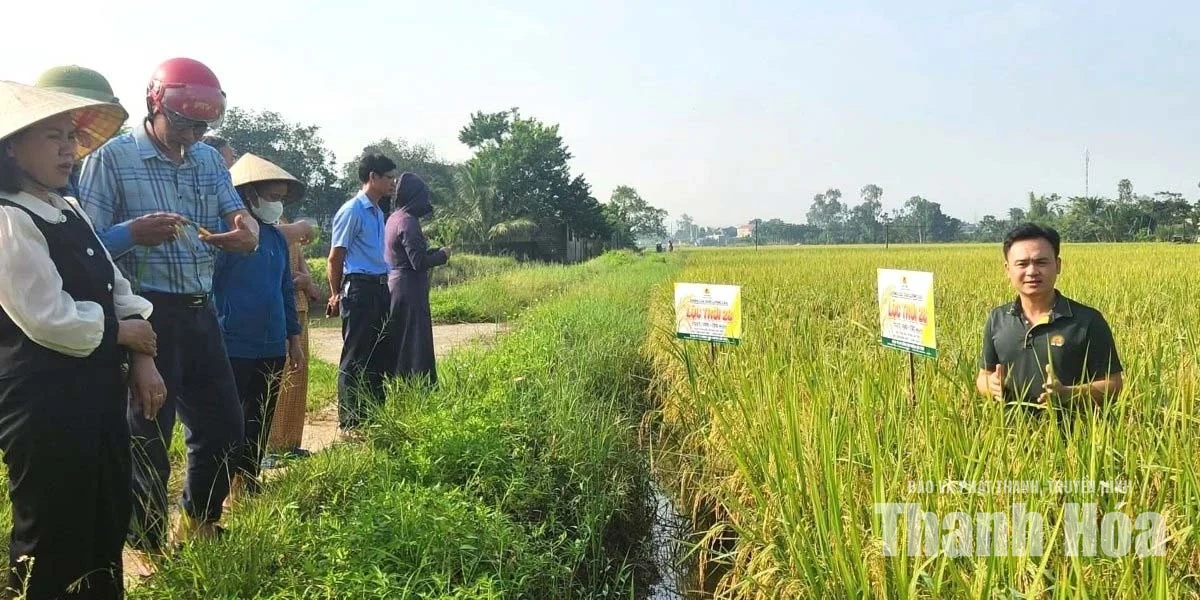 Đưa thông tin đến tận người dân