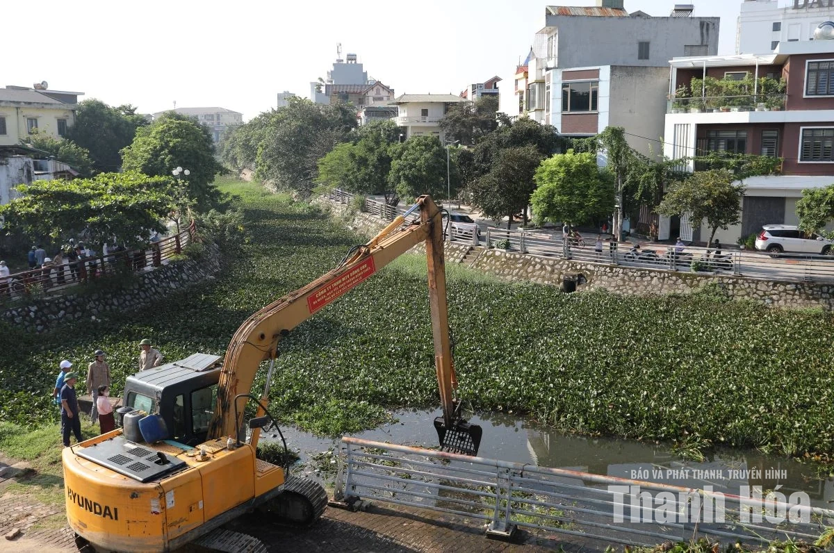 Toàn tỉnh ra quân vệ sinh môi trường khắc phục hậu quả sau mưa lũ