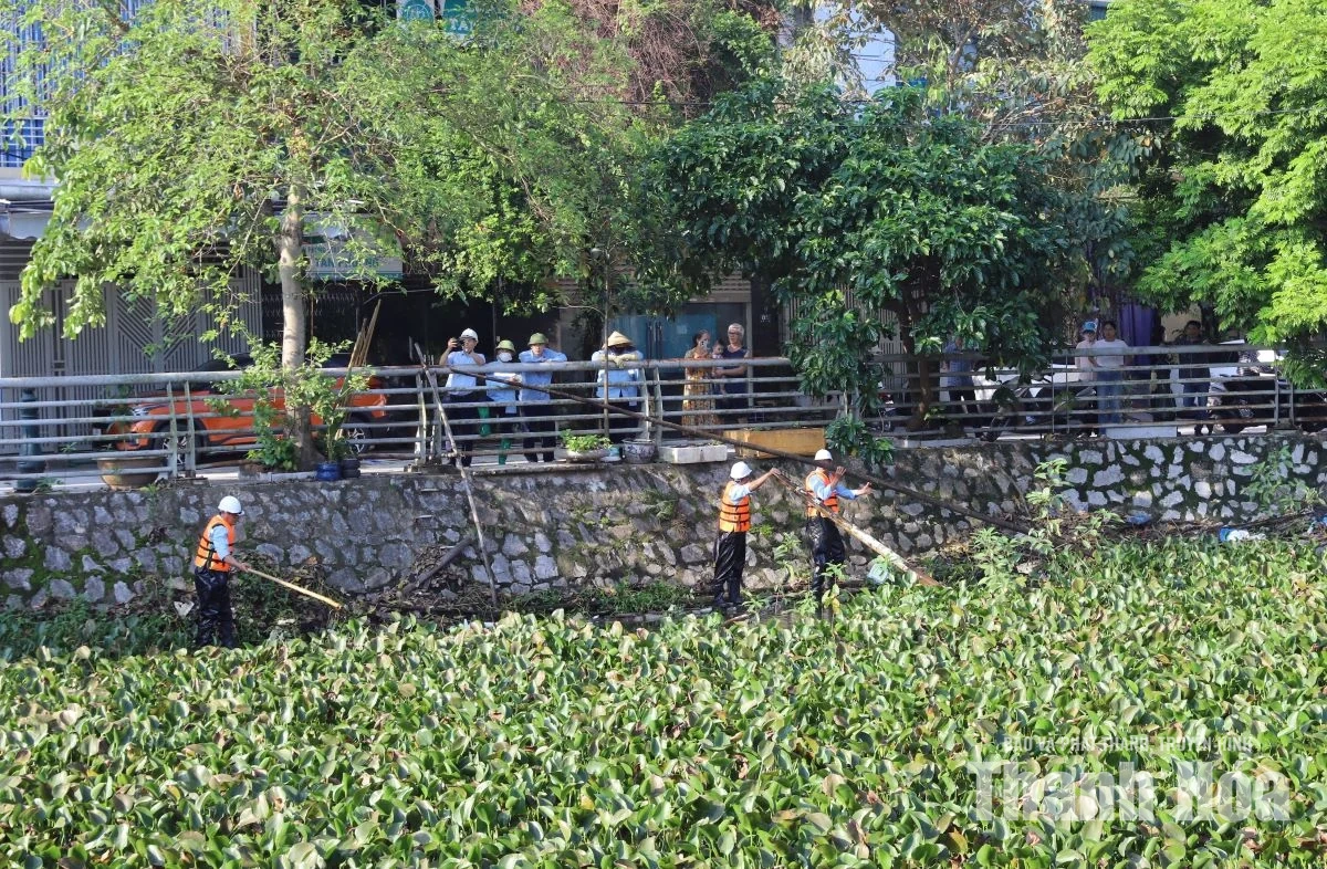 Toàn tỉnh ra quân vệ sinh môi trường khắc phục hậu quả sau mưa lũ