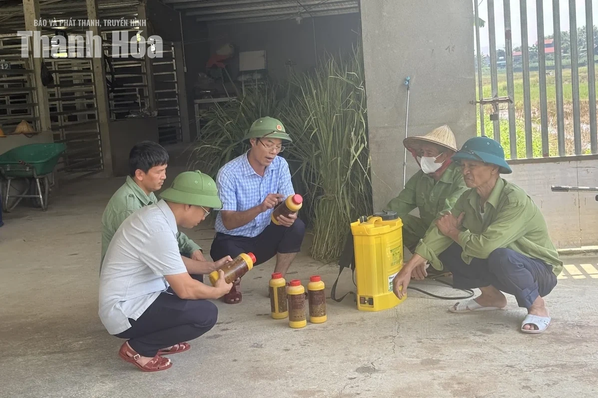 60 nghìn con gia cầm chết ngạt, nguy cơ ô nhiễm môi trường