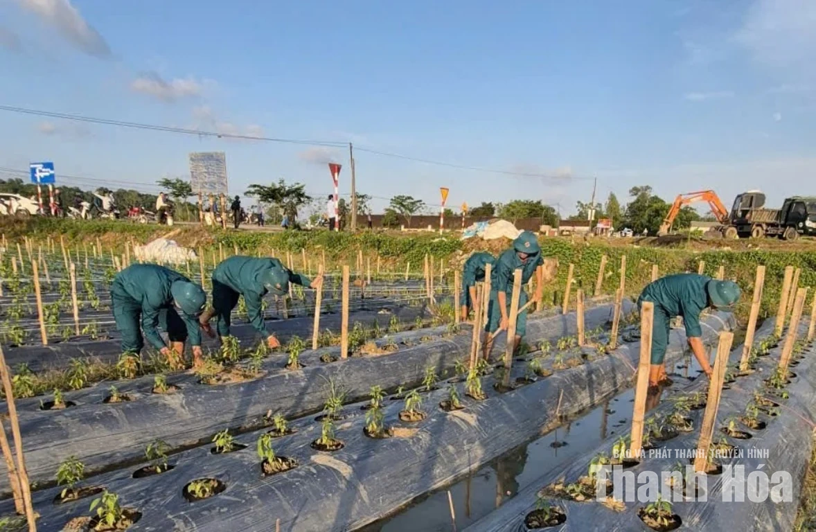 Xã Định Tân khẩn trương khôi phục sản xuất sau mưa lũ