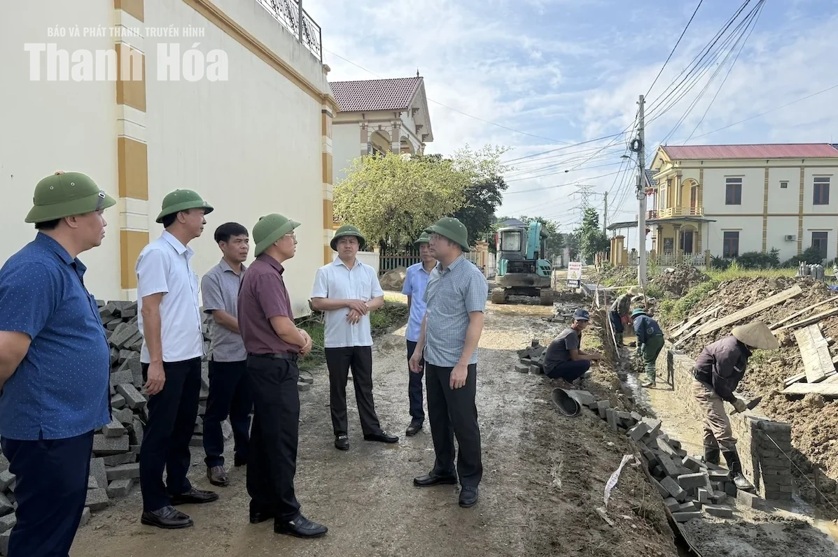 Kiên quyết xử lý theo quy định đối với nhà thầu không bảo đảm năng lực thực hiện dự án