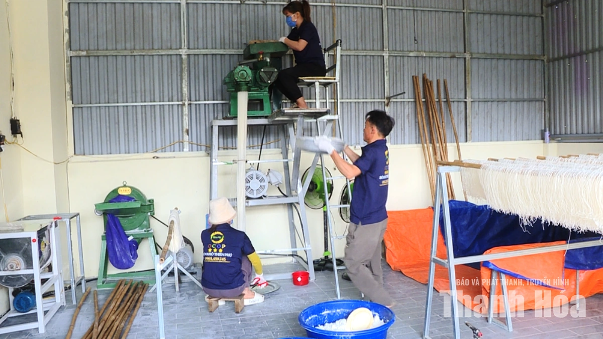 Đưa hạt “ngọc thực” thành sản phẩm OCOP
